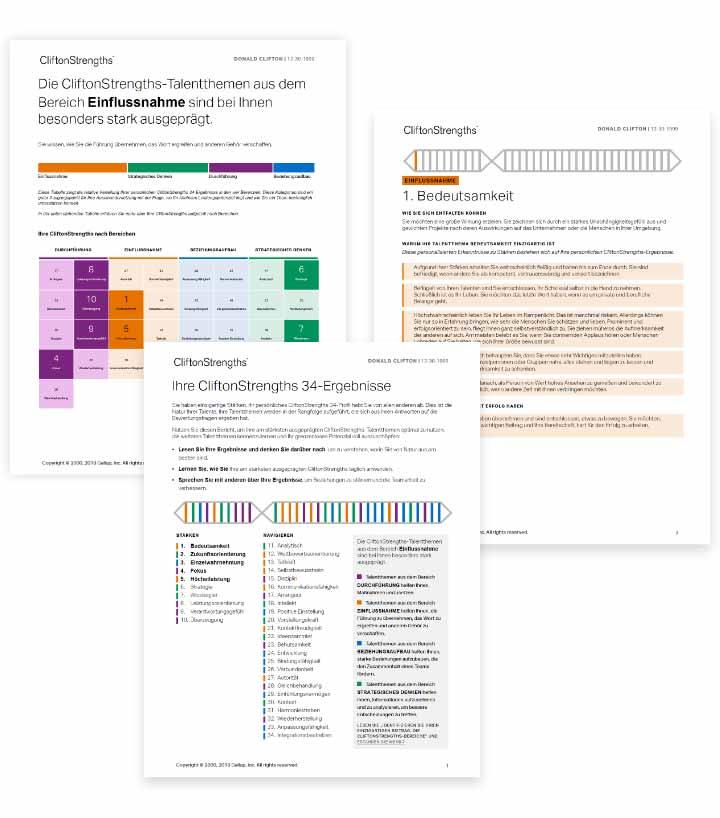 CliftonStrengths 34-Bericht